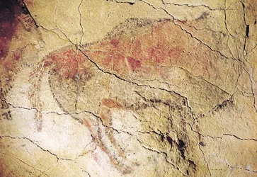 Bisonte dalle grotte di Altamira, c.15000 a.C. (pittura rupestre)